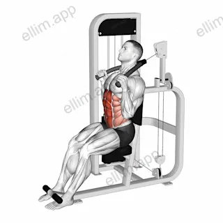 Lever Seated Full Crunch exercise targeting Waist