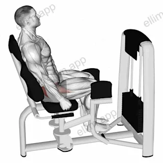 Lever Seated Hip Abduction exercise targeting Hips and Gluteus Maximus