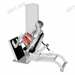 Lever Seated Horizontal Leg Press exercise targeting Gluteus Maximus and Quadriceps