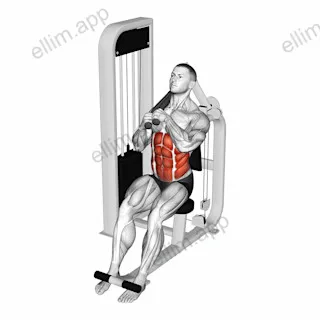 Lever Seated Left Side Crunch exercise targeting Waist