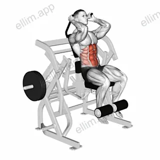 Lever Seated Leg Raise Crunch (plate loaded) exercise targeting Waist and Rectus Abdominis