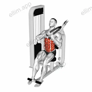 Lever Seated Right Side Crunch exercise targeting Waist