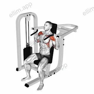 Lever Seated Shoulder Press exercise targeting Shoulders and Deltoid Anterior