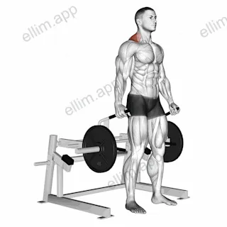 Lever Shrug (plate loaded) exercise targeting Back and Trapezius Upper Fibers