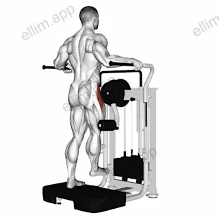Lever Side Hip Abduction exercise targeting Hips and Iliopsoas