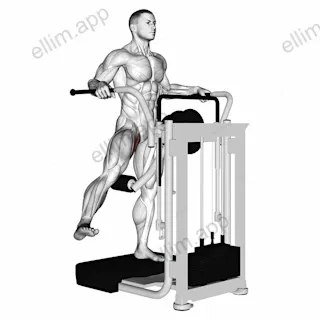 Lever Side Hip Adduction exercise targeting Hips and Gluteus Maximus