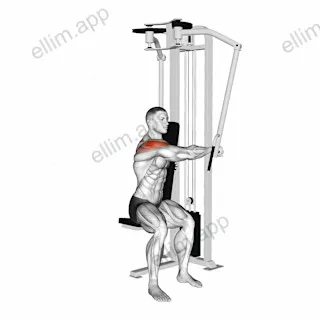 Lever Side Seated Single Arm Rear Delt Fly exercise targeting Shoulders