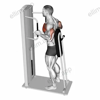 Lever Standing Chest Press exercise targeting Chest and Pectoralis Major Clavicular Head