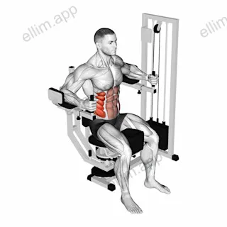 Lever Trunk Rotation exercise targeting Waist and Obliques