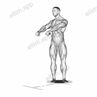Lever Twist exercise targeting Waist and Obliques