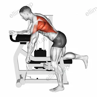Lever Unilateral Row exercise targeting Back and Infraspinatus