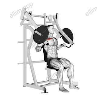 Leverage Incline Chest Press exercise targeting Chest