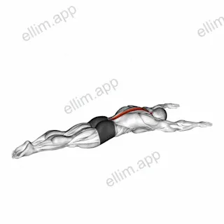 Long Lever Lying Back Extension exercise targeting Hips