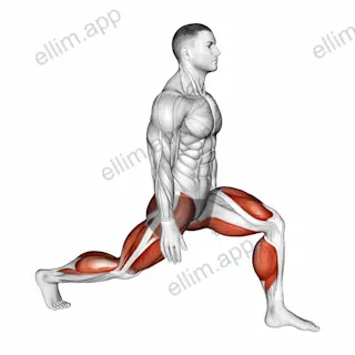 Low Lunge exercise targeting Stretching