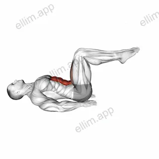 Lying Alternate Toe Touch Floor exercise targeting Hips