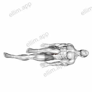 Lying Bent Knee Figure 8 exercise targeting Hips and Adductor Brevis