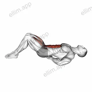 Lying Bent Legs Raise exercise targeting Waist