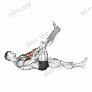 Lying Biceps Curl with Towel exercise targeting Upper Arms and Biceps Brachii
