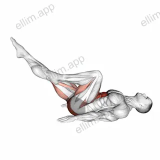 Lying Bicycle Crunch exercise targeting Waist and Gluteus Maximus