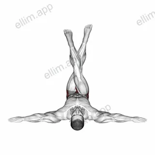Lying Criss Cross Legs exercise targeting Hips