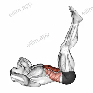 Lying Crunch (straight legs) exercise targeting Waist