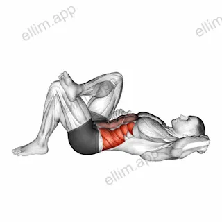 Lying Elbow to Knee exercise targeting Waist and Obliques