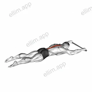 Lying Floor Hyperextension with Towel exercise targeting Hips and Erector Spinae