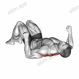 Lying Floor Row with Bent Knee exercise targeting Back and Infraspinatus