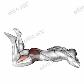 Lying Frog Kick exercise targeting Hips