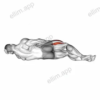 Lying Hip Flexor exercise targeting Thighs