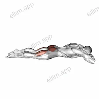 Lying Hyperextension Hold exercise targeting Hips