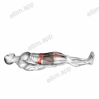 Lying Knee Raise exercise targeting Waist