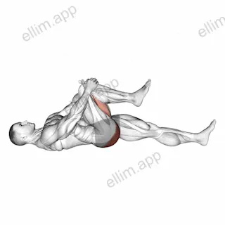 Lying Knee To Chest Stretch exercise targeting Hips and Gluteus Maximus