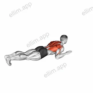 Lying Lat Pulldown exercise targeting Back and Erector Spinae