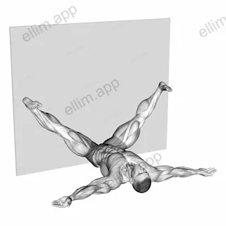 Lying Leaning Against The Wall Stretch exercise targeting Hips