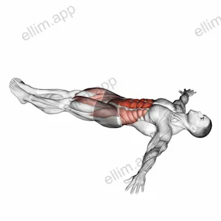 Lying Leg Hip Raise on Floor exercise targeting Waist and Iliopsoas