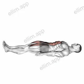 Lying Leg Raise and Hold exercise targeting Hips and Iliopsoas