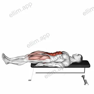 Lying Leg Raise Flat Bench exercise targeting Waist and Iliopsoas