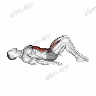 Lying Leg Raise (Modified) exercise targeting Hips and Iliopsoas