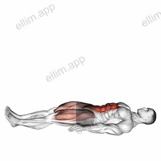 Lying Leg Raise exercise targeting Waist and Rectus Abdominis