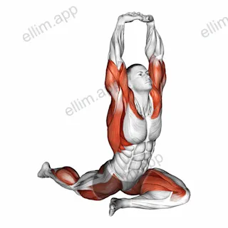 Lying Leg Tuck Hip Stretch wth Overhead Hands exercise targeting Back and Hips