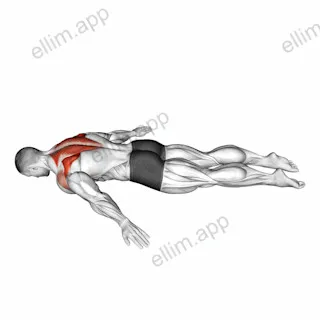 Lying Prone A exercise targeting Back