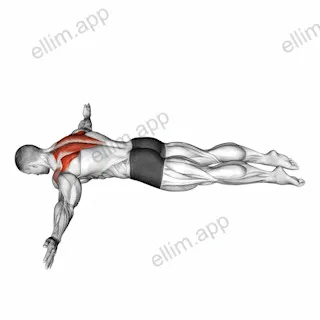 Lying Prone T exercise targeting Back