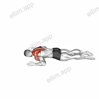 Lying Prone W to Y exercise targeting Back
