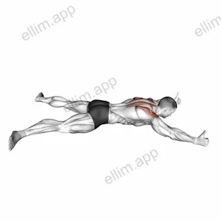Lying Prone Y Raise exercise targeting Back