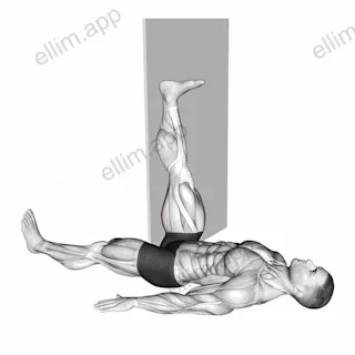 Lying Single Leg Hamstring Stretch against Wall exercise targeting Stretching