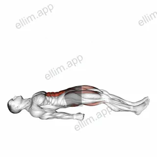 Lying Straight Leg Marches exercise targeting Gluteus Maximus and Iliopsoas