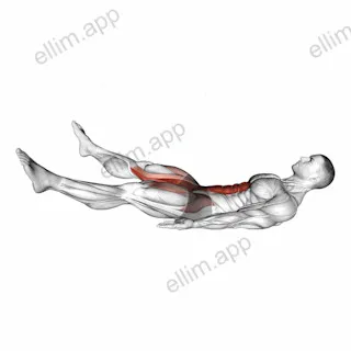 Lying Toe Tap exercise targeting Hips