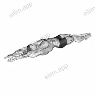 Lying whole body stretch exercise targeting Back