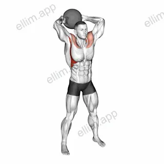 Medicine Ball Around Head Rotation exercise targeting Shoulders